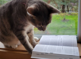 A picture of Hotpot.